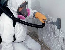 Best Forensic Mold Investigation  in Iola, WI